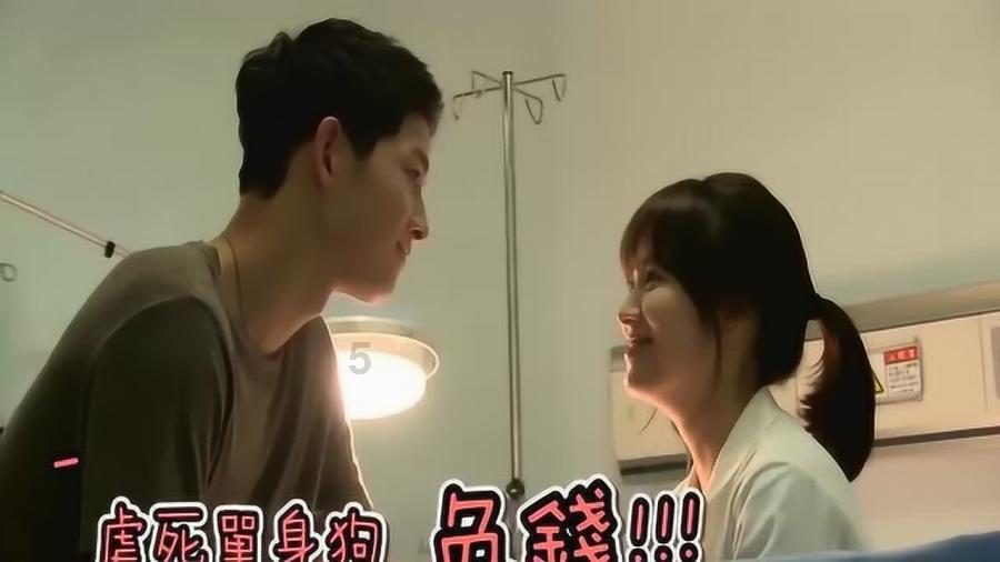 救援达尔马提亚狗
